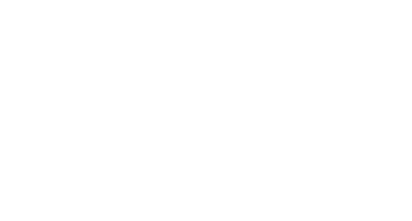 Officieel wit DJ Gizmo logo
